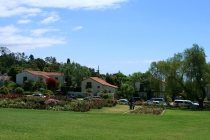 SB Mission Rose garden 02