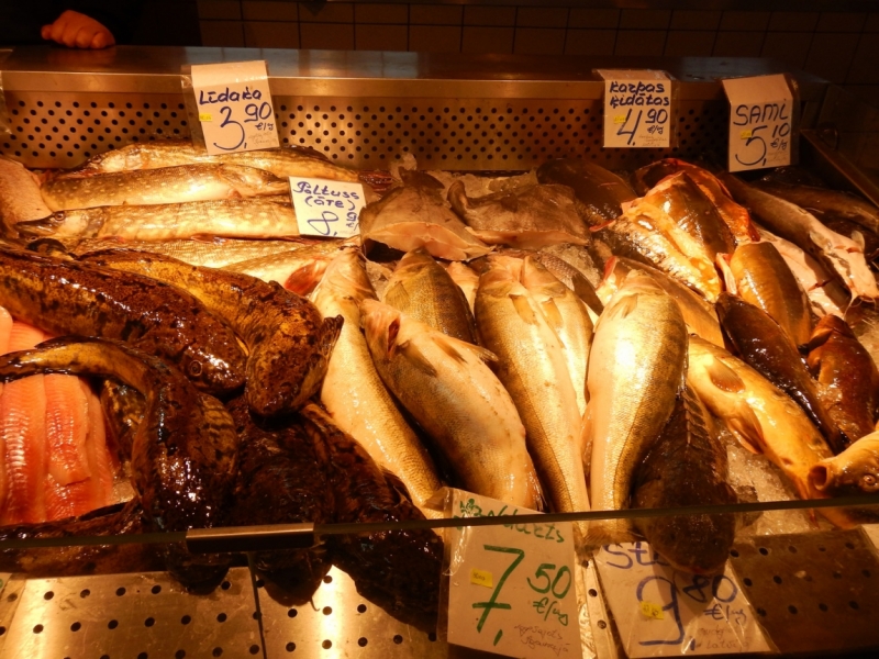 Весна 2015. Четыре Балтийские столицы: Таллин, Стокгольм, Рига и Вильнюс