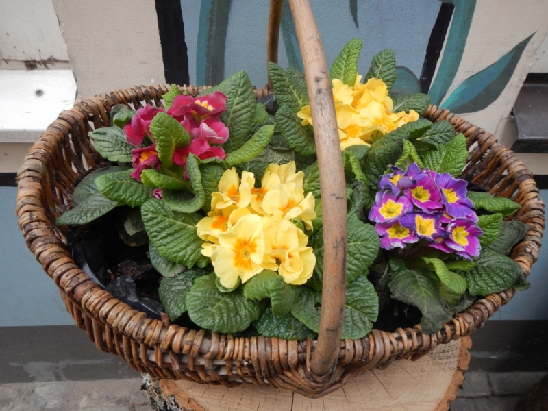 Весна 2015. Четыре Балтийские столицы: Таллин, Стокгольм, Рига и Вильнюс