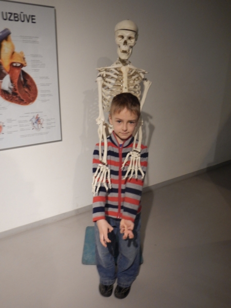 Весна 2015. Четыре Балтийские столицы: Таллин, Стокгольм, Рига и Вильнюс