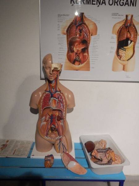 Весна 2015. Четыре Балтийские столицы: Таллин, Стокгольм, Рига и Вильнюс