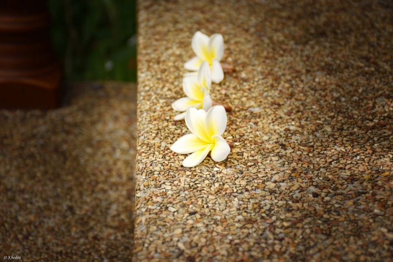 Впечатлениям вдогонку... - север и острова 2015