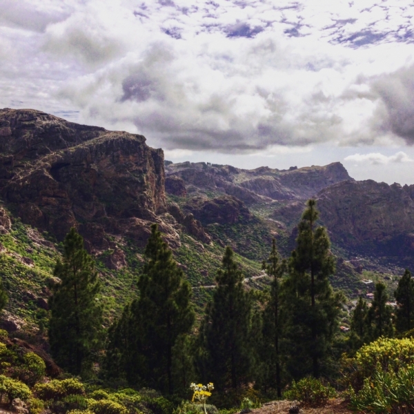 Гран-Канария в январе Гран-Канария в январе