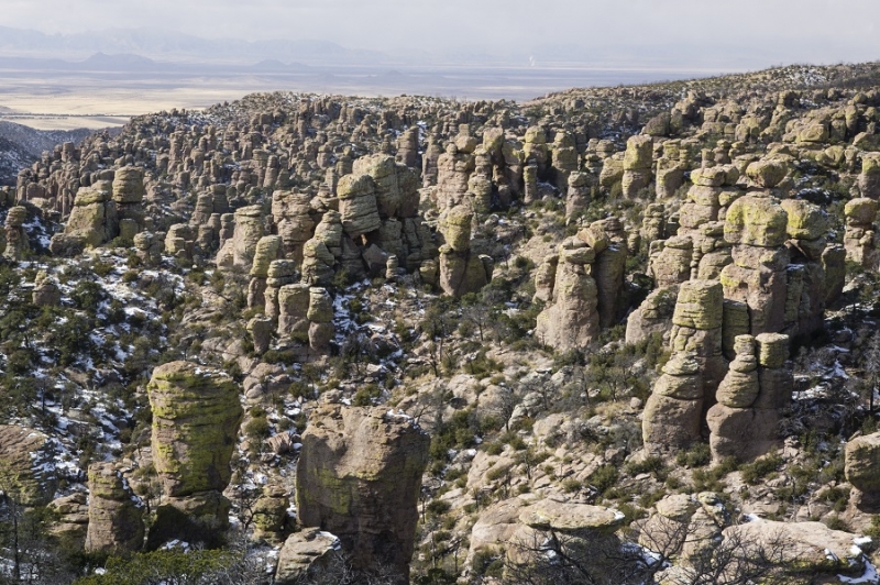 Новый год в Аризоне (27 декабря 2015 - 7 января 2016)