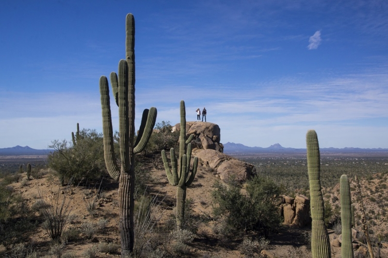 Новый год в Аризоне (27 декабря 2015 - 7 января 2016)