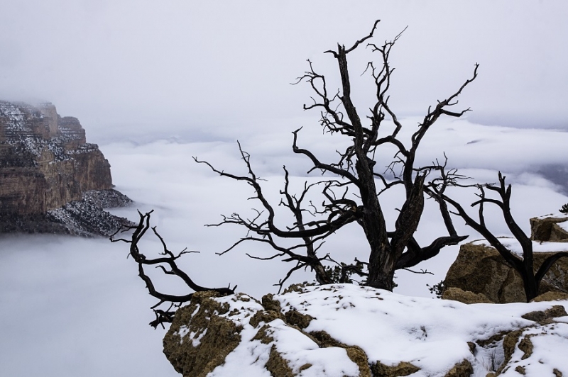 Новый год в Аризоне (27 декабря 2015 - 7 января 2016)