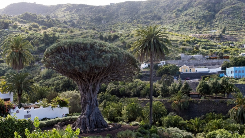 Планета людей в океане, или Не так страшен Эпик, как его малюют