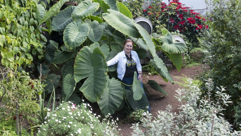 Планета людей в океане, или Не так страшен Эпик, как его малюют