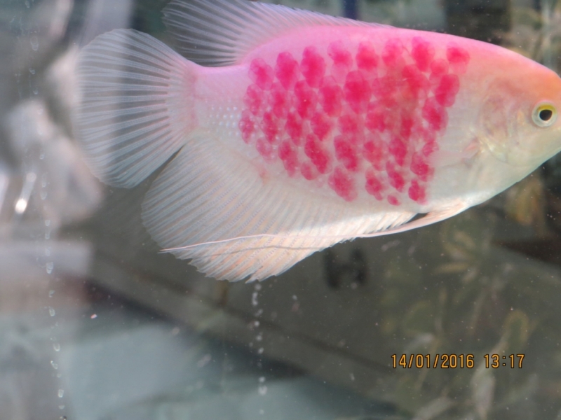 Возврат денег от Ctrip