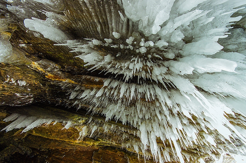 Огой в хмурый день