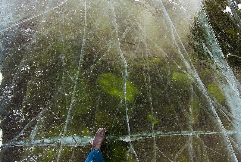 Огой в хмурый день