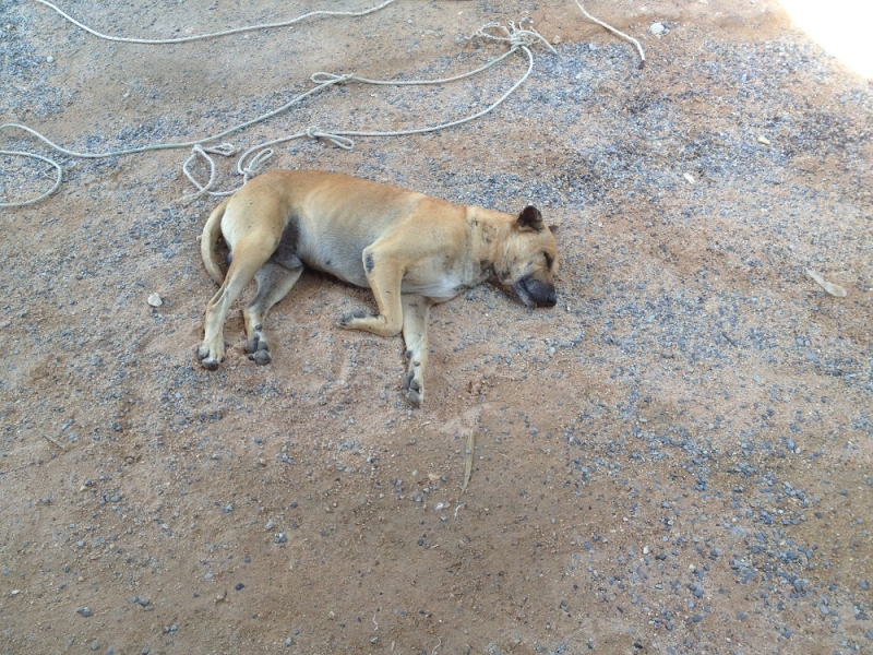 Принял на грудь, скажи что-нибудь! Трезвым вход запрещён!