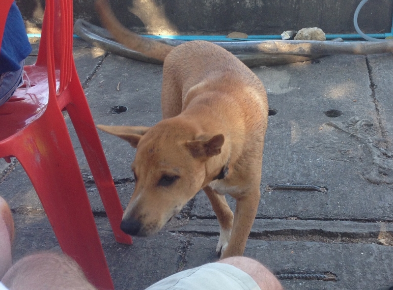 Принял на грудь, скажи что-нибудь! Трезвым вход запрещён!