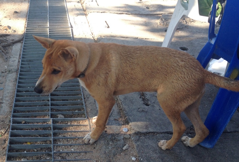 Принял на грудь, скажи что-нибудь! Трезвым вход запрещён!