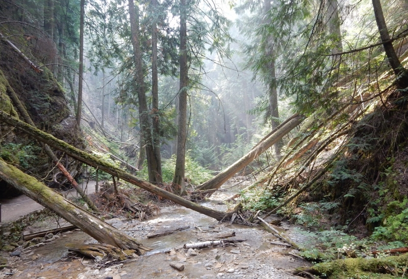 Британская Колумбия, вопросы