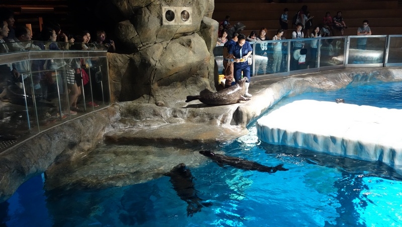 Палаван и Боракай (через Гонконг). Стандартный маршрут