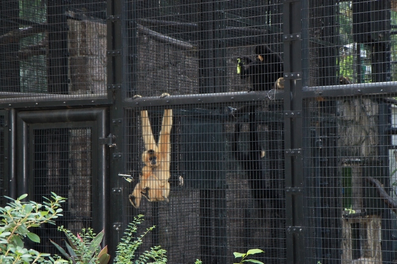 Палаван и Боракай (через Гонконг). Стандартный маршрут