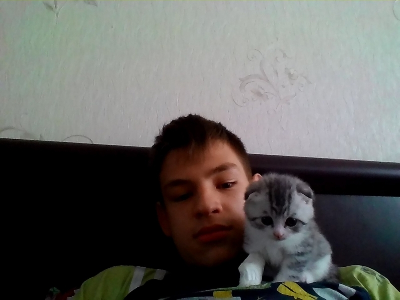 Поговорим о кошках38