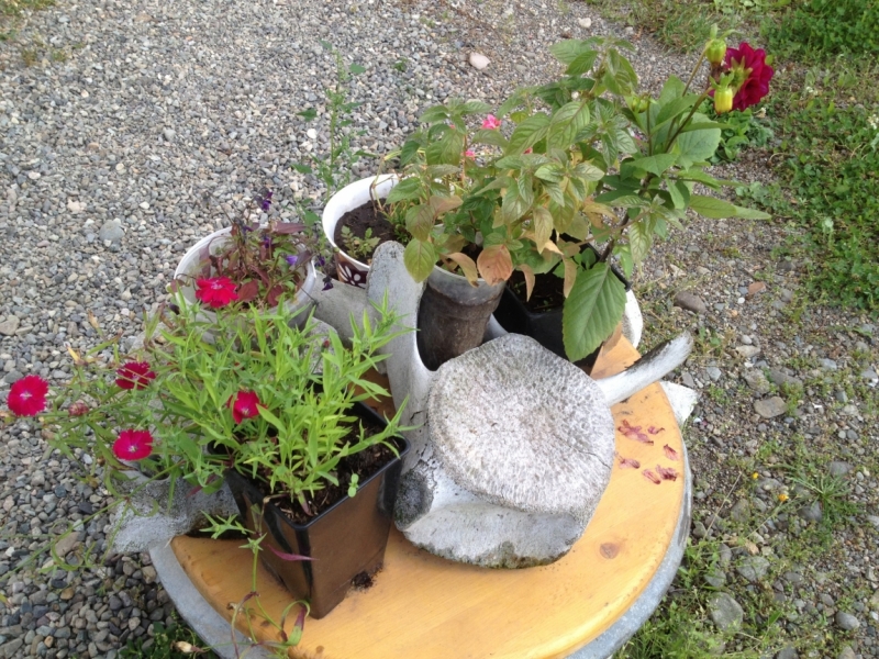 Камчатка. Путешествие на край света.