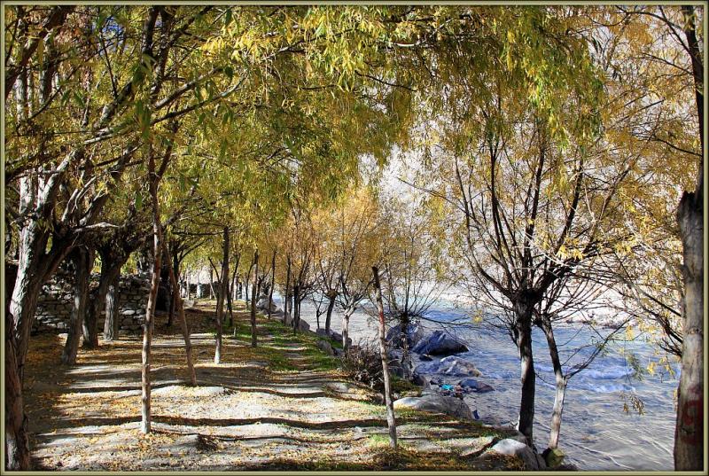 Кагбени - Марфа