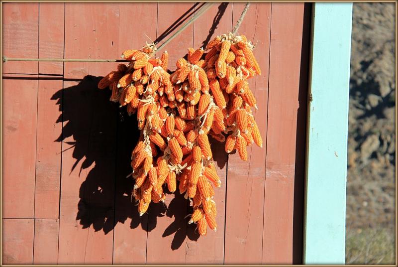 Кагбени - Марфа