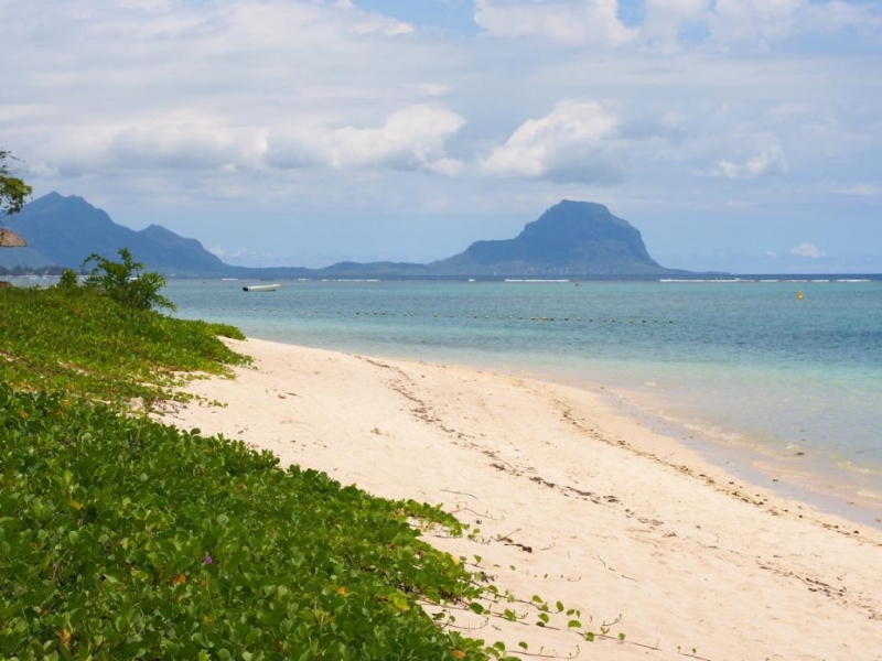 «Сначала Бог увидел Маврикий, а потом  создал рай. По его образу и подобию» Марк Твен