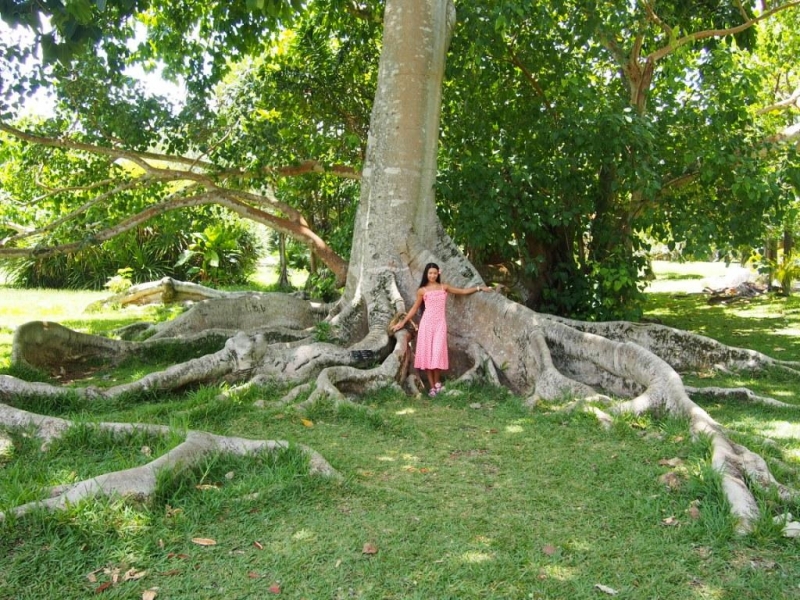 «Сначала Бог увидел Маврикий, а потом  создал рай. По его образу и подобию» Марк Твен