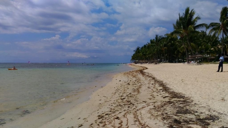 «Сначала Бог увидел Маврикий, а потом  создал рай. По его образу и подобию» Марк Твен