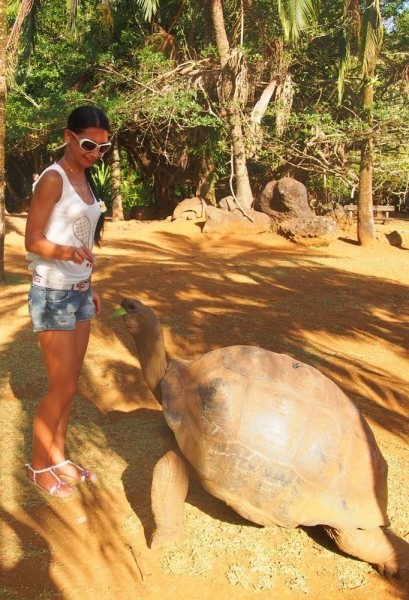 «Сначала Бог увидел Маврикий, а потом  создал рай. По его образу и подобию» Марк Твен