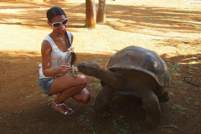 «Сначала Бог увидел Маврикий, а потом  создал рай. По его образу и подобию» Марк Твен