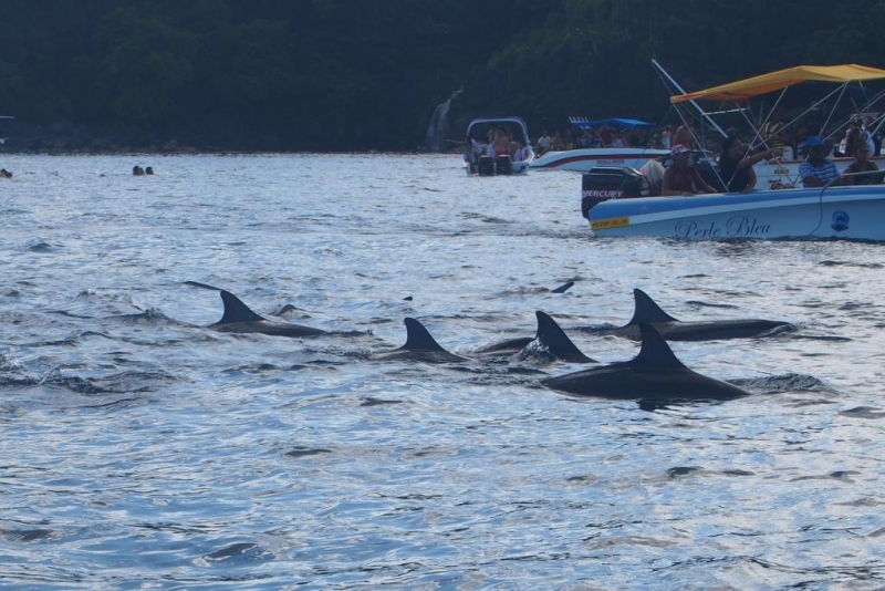 «Сначала Бог увидел Маврикий, а потом  создал рай. По его образу и подобию» Марк Твен