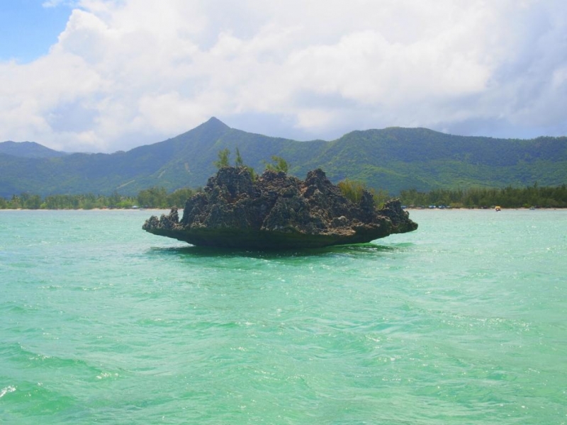 «Сначала Бог увидел Маврикий, а потом  создал рай. По его образу и подобию» Марк Твен