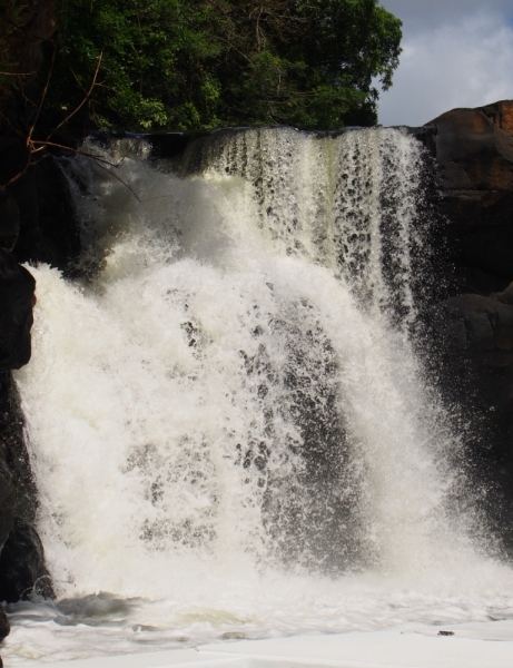 «Сначала Бог увидел Маврикий, а потом  создал рай. По его образу и подобию» Марк Твен