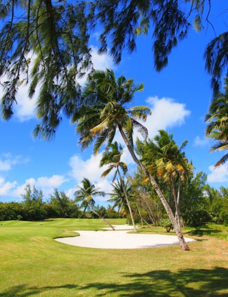 «Сначала Бог увидел Маврикий, а потом  создал рай. По его образу и подобию» Марк Твен