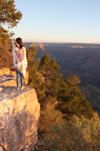 LV-Grand Canyon-Route 66-LA-Cabrillo highway (Route 1)-SF-NY