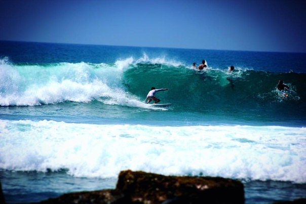 90 дней серфинга на Шри-Ланке с цифрами