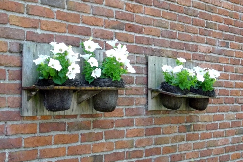 Из провинций в столицу (Нидерланды)