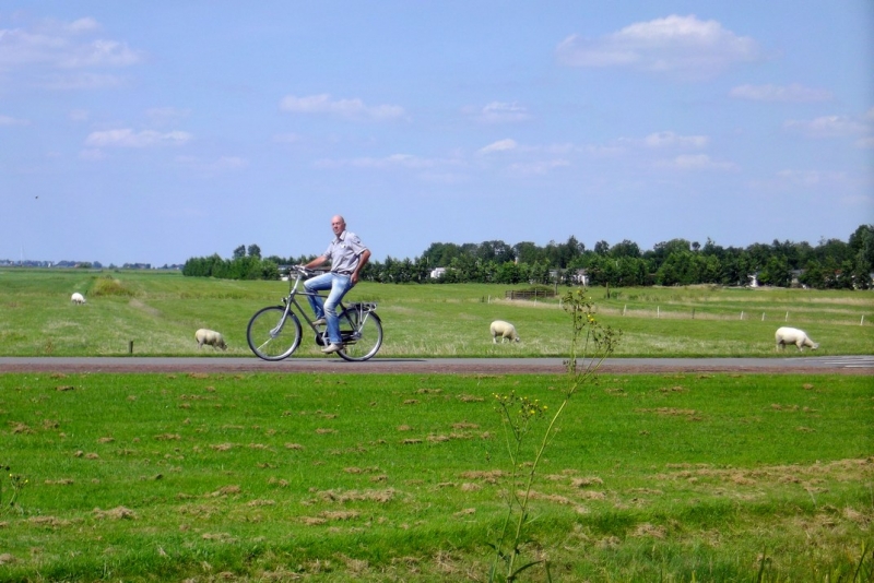 Из провинций в столицу (Нидерланды)