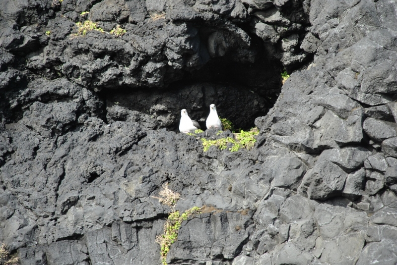 4-х дневная Исландия или "спасибо, что живой"