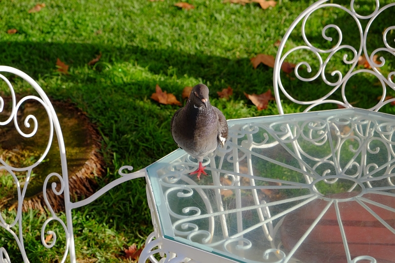 Планета людей в океане, или Не так страшен Эпик, как его малюют