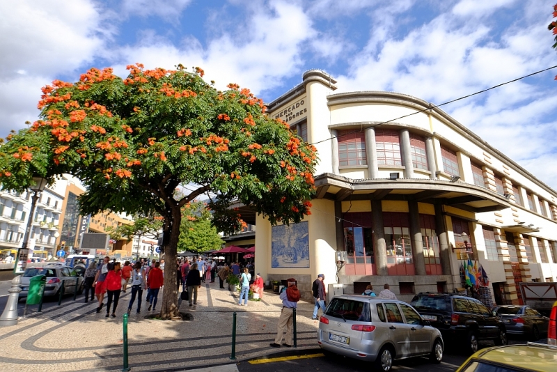 Планета людей в океане, или Не так страшен Эпик, как его малюют Планета людей в океане, или Не так страшен Эпик, как его малюют