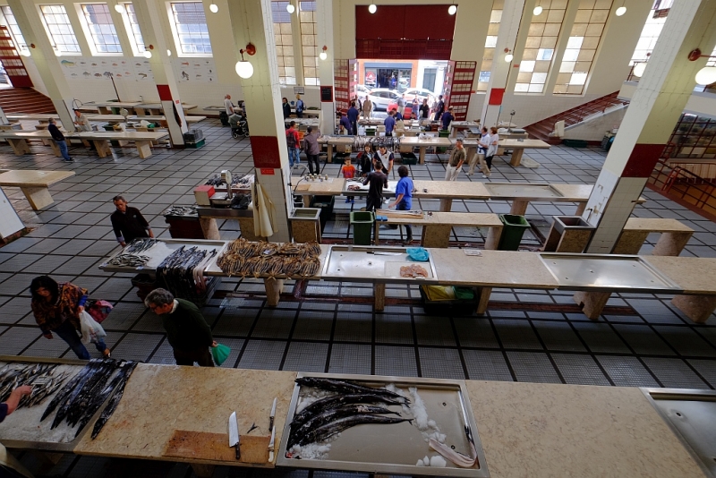 Планета людей в океане, или Не так страшен Эпик, как его малюют Планета людей в океане, или Не так страшен Эпик, как его малюют