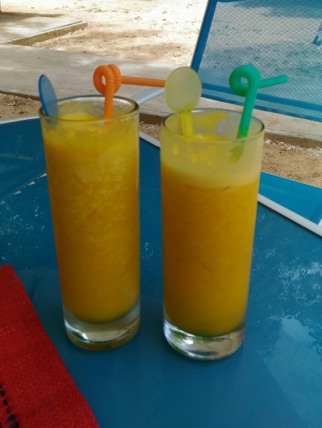 «Сначала Бог увидел Маврикий, а потом  создал рай. По его образу и подобию» Марк Твен