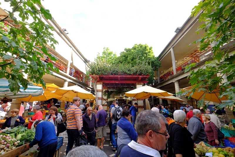 Планета людей в океане, или Не так страшен Эпик, как его малюют