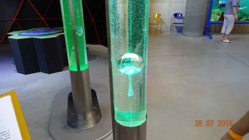 Латвия-Тарту (Эстония)