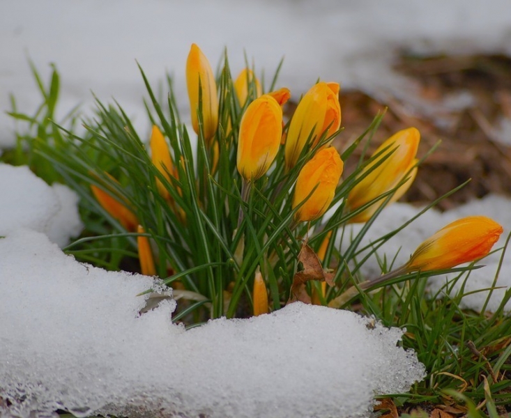 Принял на грудь, скажи что-нибудь! Трезвым вход запрещён!