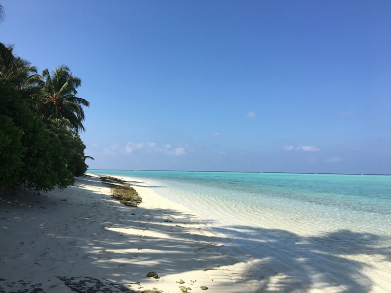 Thoddoo февраль 2016 отзыв