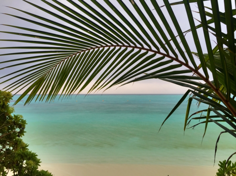 Thoddoo февраль 2016 отзыв