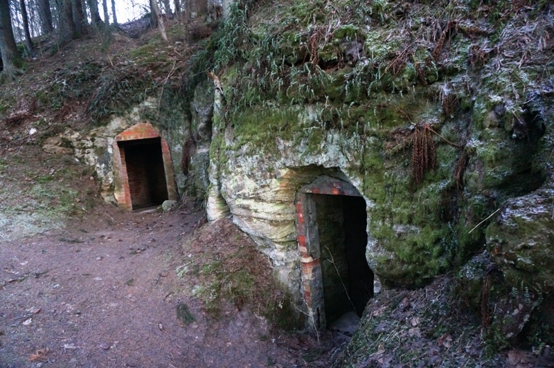 Январь 2016г.