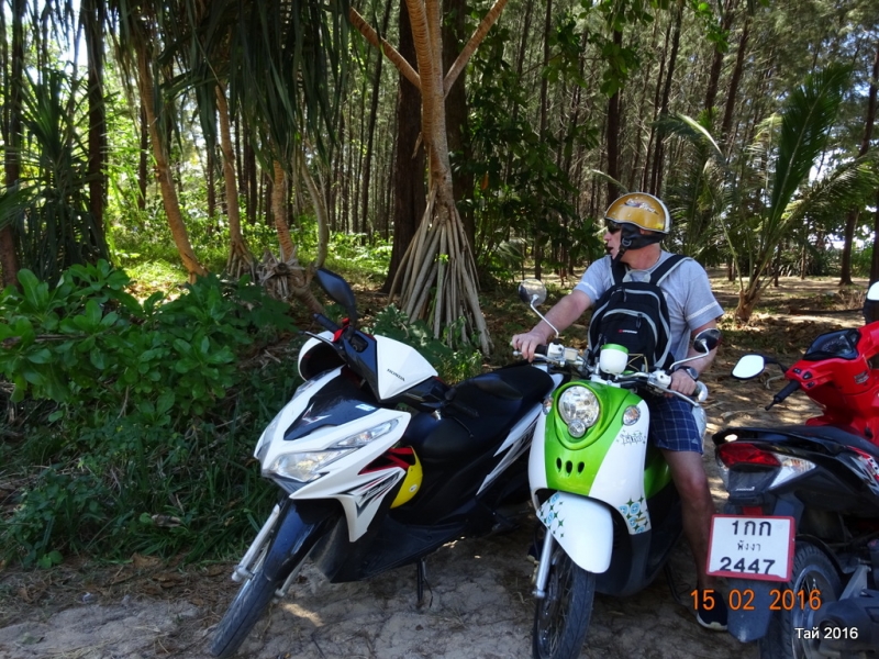 Као Лак февраль 2016